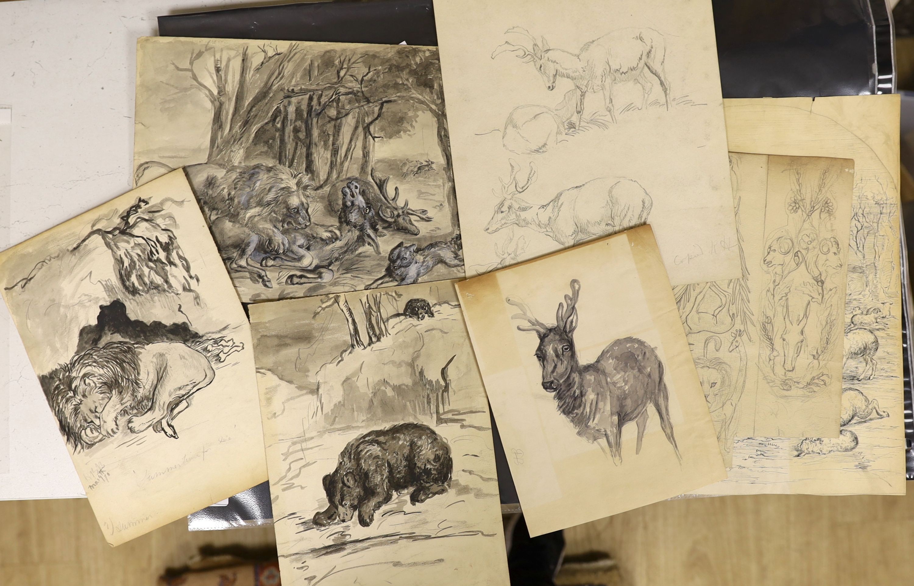 Hannah Barlow (1851-1916) - pen and ink, seven assorted ink and pencil drawings of animals, Studies of lions, bears, stags, etc., some initialled and inscribed, largest 33 x 24cm